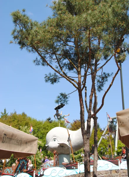 Multi-stem trees: a list of species and characteristics.